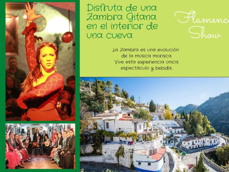 Flamenco show