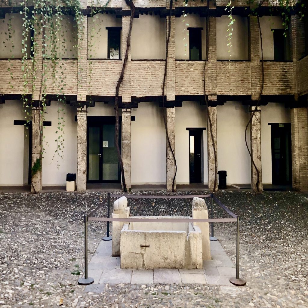 coral del carbón