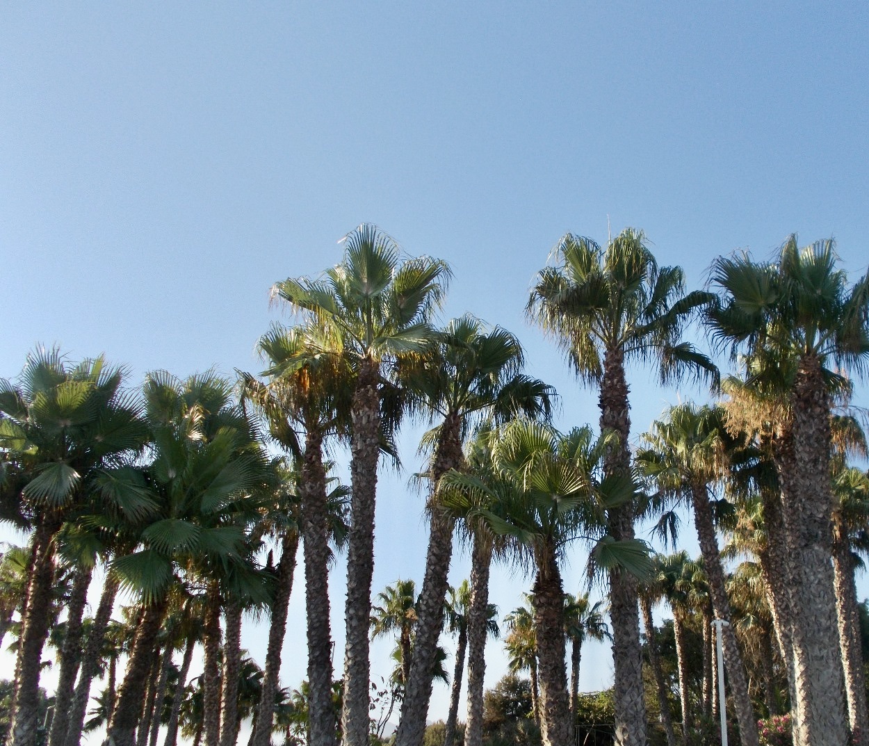 September-in-Granada-Costa-Tropical