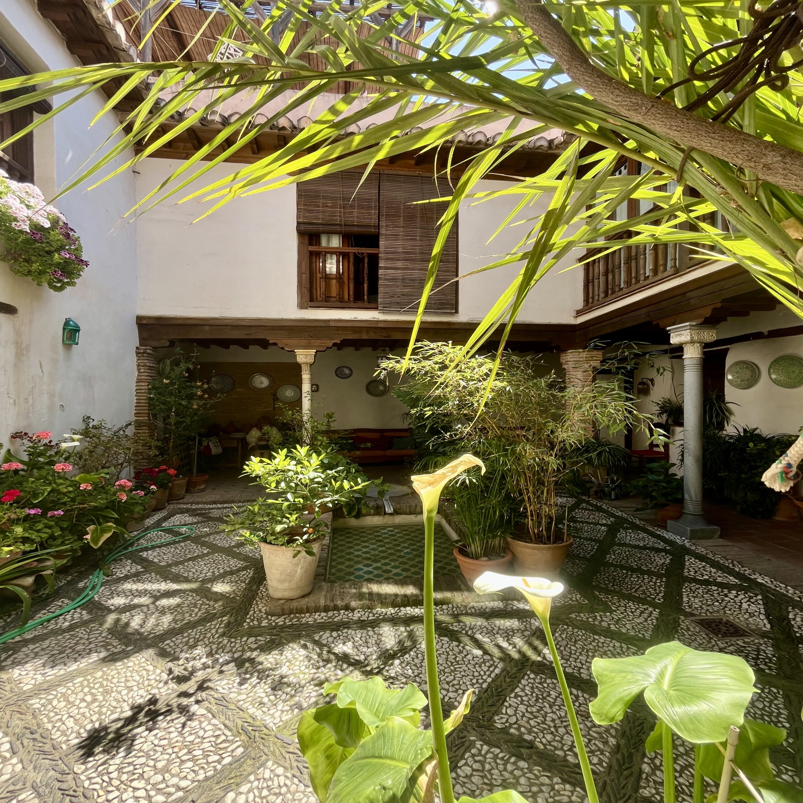 Guided tour of Sacromonte and Albaicín