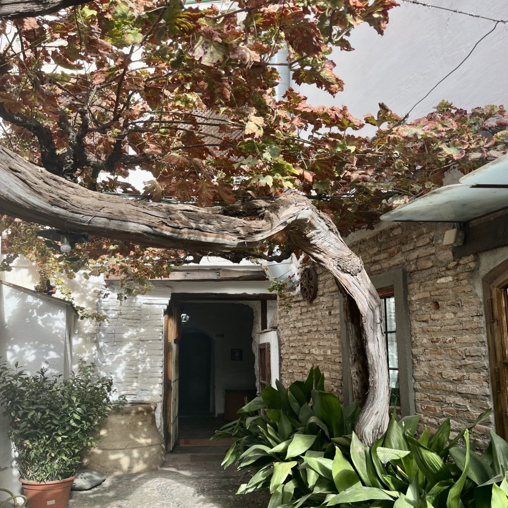 Guided tour of Sacromonte and Albaicín in Granada
