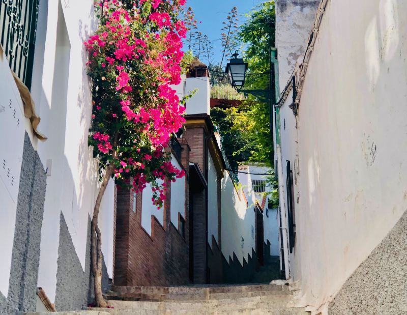 Tour Sacromonte y Albaicín